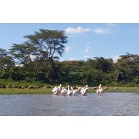 Lake Naivasha, Nakuru Day Excursion
