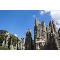 1-Day Self-Guided Stone Forest Geological Park Tour from Kunming
