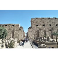 Luxor East Bank guided tour , Karnak and Luxor Temples