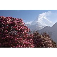 Mohare Danda Panorama Trek 8 Days
