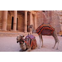 Petra and Wadi Rum 2 Days 1 Night Tour from Aqaba