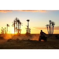 2h Quad ride in the palm grove