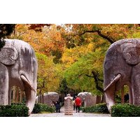 Nanjing Private Flexible Day Trip from Yangzhou with Lunch and Drop-Off Options