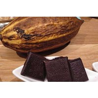 Chocolate tasting room & aromatic cocoa factory tour near Barcelona