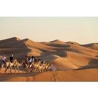 Wahiba Sands Safari with Wadi swimming and Camelride