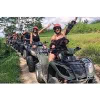 Full Day Bali Tour with ATV Quad Bike and Lunch and Pickup