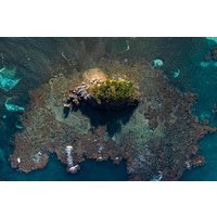 Los Haitises National Park private Kayaking 4 hours trip Mangroves and Cave