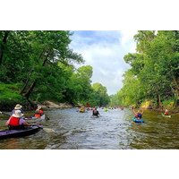 7 Days Sri Lanka Culture and Nature Private Tour from Colombo