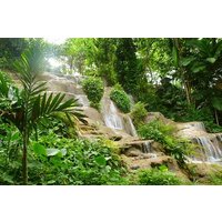 Konoko Falls and Park Private Tour with Hotel Pickup