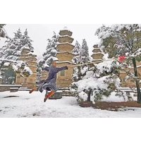 Henan 3-day Tour featuring Shaolin Temple and other Must-see Spots