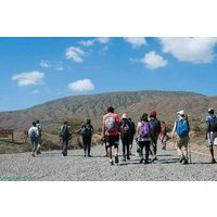 1-Day Mount Longonot Hiking Adventure From Nairobi