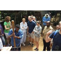 Waterfalls & Coffee Tour
