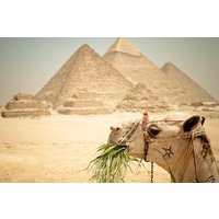 3-Days Private Guided Tour Package to Cairo, Giza and Alexandria