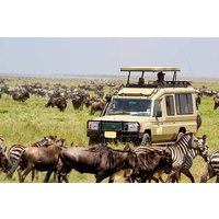 12-Day Best Kenya and Tanzania Budget Safari from Nairobi