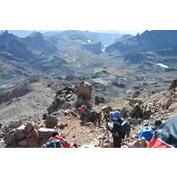 Mount Kenya National Park Full-Day Hike