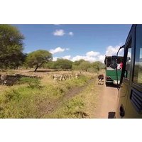 Full Day at Casela World of Adventures (Transport Only)