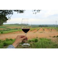 Barcelona Countryside Fullday Wine&Cava Tour with Lunch