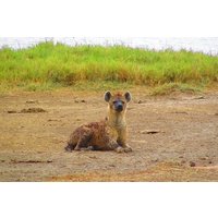 2 Days Safaris to Mount Kenya Fairmont Safari Club
