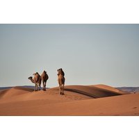 4 Day Private Desert Tour from Marrakech to Fez