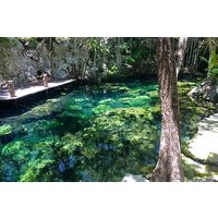 Private Transfer to Cenotes at Riviera Maya