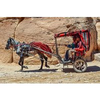 4 Days / 3 Nights Petra, Jerash and Amman Adventure