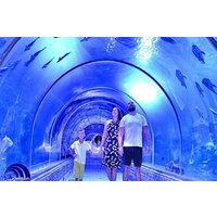 Private 5 Nights Cairo & Hurghada Tour