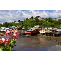 Premium Full Day Shared Tour to Chiloé: Chacao, Castro and Dalcahue