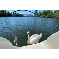 Explore Bird & Marine Wildlife private Boat Tour in English
