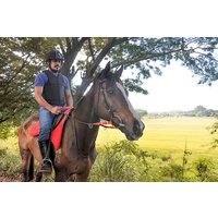 Horse Ride Experience from Habarana