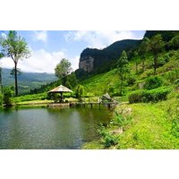 James Taylor Tea Estate From Kandy