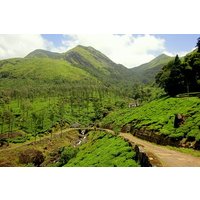 Day Trip to Wayanad (Guided Private Sightseeing Experience from Mysore)
