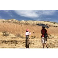 Altyn Emel, Singing Dune, Charyn canyon, Kolsay, Kaindy lake 4 days tour