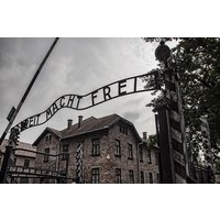 Private Auschwitz-Birkenau and Salt Mine Tour from Krakow