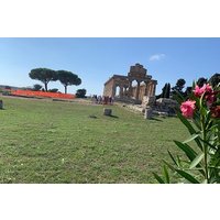 Paestum Private Tour from Naples