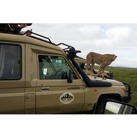 4-Days Serengeti migration in Ndutu to See Calving Season