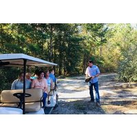 The Olive Grove Tour