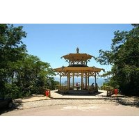 Atlantic Forest Tour: Christ the Redeemer and Tijuca Forest