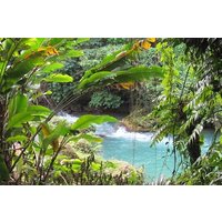 Cranbrook Flower Forest tour