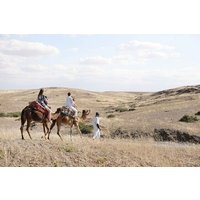 Agafay Desert & Atlas Mountains Day Tour with Camel Ride From Marrakech