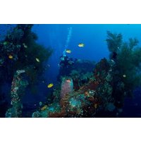 Bali: Tulamben Scuba Diving at USS Liberty Shipwreck