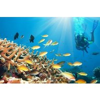 Private Dive Boat Tour on Catalina Bayahibe Island