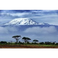 1 Day: Hiking Majestic Kilimanjaro