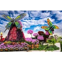 Miracle Garden Dubai Tour With Ticket