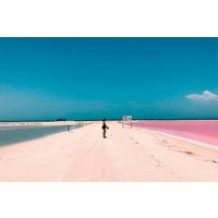 Pink Lake Las Coloradas + Rio Lagartos Reserve! From Cancun