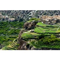 Full Day Private Nizwa/Jebel Akhdar