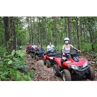 Adrenaline adventures on ATV and Playa Rincon from Samana special for cruisers