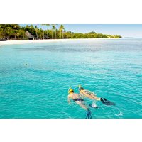 Snorkel at El Cielo in Cozumel Experience from Playa del Carmen