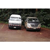 Transfer to Monteverde Reserve & Curicancha Reserve