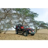 Buggy & Sandboard Adventure in Paracas