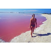 Pink Lake and Flamingo Sightseeing in Rio Lagartos